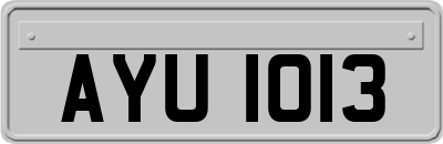AYU1013