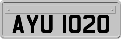 AYU1020