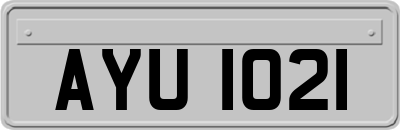 AYU1021