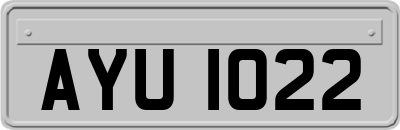 AYU1022