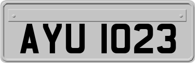 AYU1023