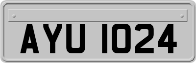 AYU1024