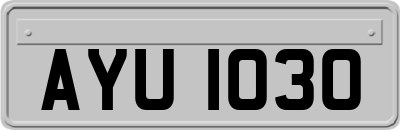 AYU1030