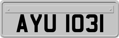 AYU1031