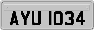 AYU1034