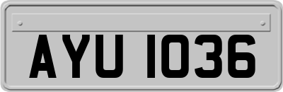AYU1036