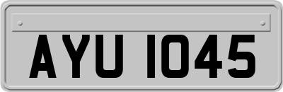 AYU1045