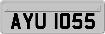 AYU1055