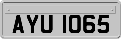 AYU1065