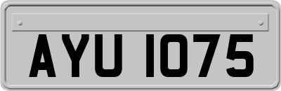 AYU1075