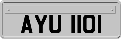 AYU1101
