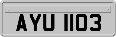 AYU1103
