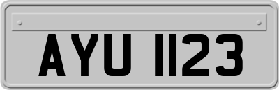 AYU1123