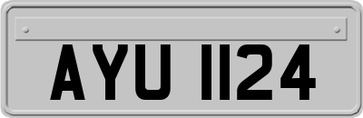 AYU1124