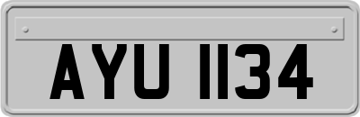 AYU1134