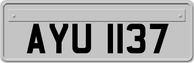 AYU1137