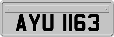 AYU1163