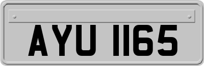 AYU1165