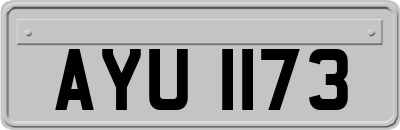 AYU1173