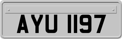 AYU1197