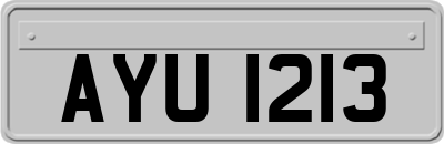 AYU1213