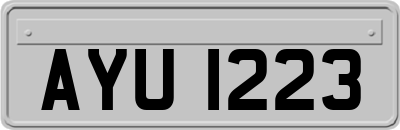 AYU1223