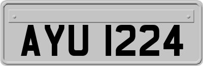 AYU1224