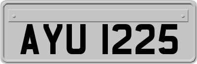 AYU1225
