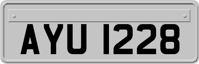 AYU1228