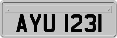 AYU1231