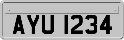 AYU1234