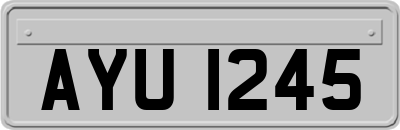 AYU1245