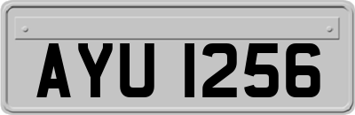 AYU1256