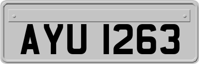AYU1263