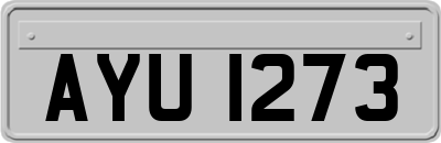 AYU1273
