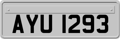 AYU1293