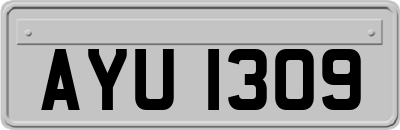 AYU1309