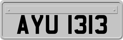 AYU1313