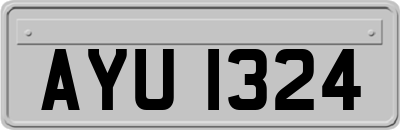 AYU1324