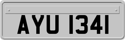 AYU1341
