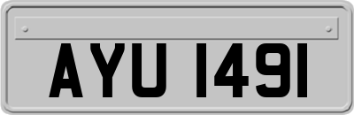 AYU1491