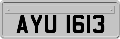 AYU1613
