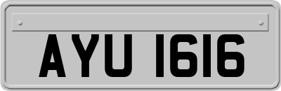AYU1616