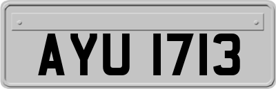 AYU1713
