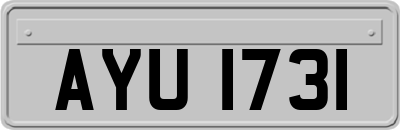 AYU1731