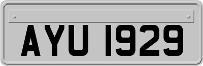 AYU1929