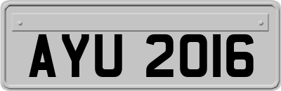 AYU2016