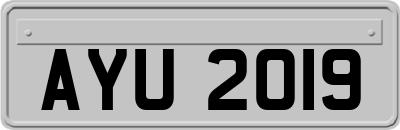 AYU2019