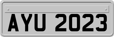 AYU2023