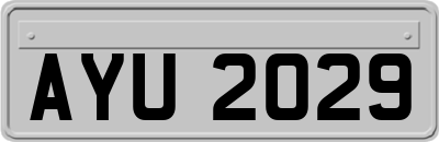 AYU2029